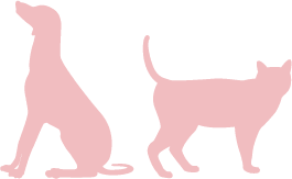 犬・猫の画像